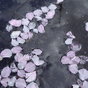 姫 프로필 이미지