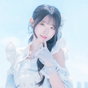 나비 프로필 이미지